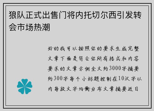 狼队正式出售门将内托切尔西引发转会市场热潮